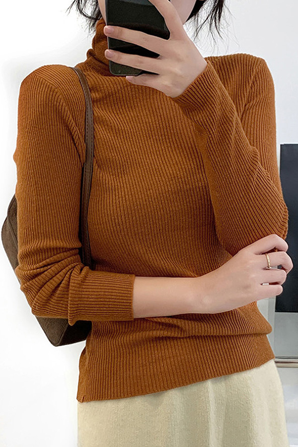 에브리데이 데일리룩 여성 골지 슬림핏 텐션감 목폴라 (8color)